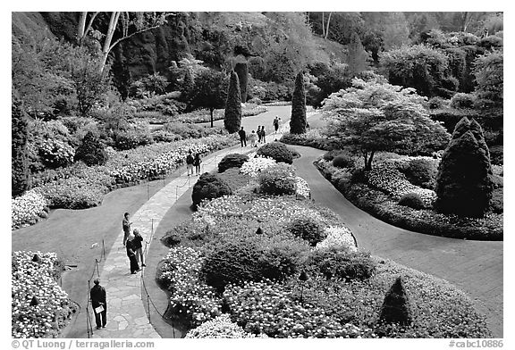 Sunken Garden. Butchart Gardens, Victoria, British Columbia, Canada (black and white)