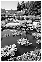 Pond in Italian Garden. Butchart Gardens, Victoria, British Columbia, Canada (black and white)
