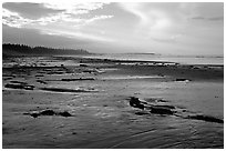 Long Beach, early morning. Pacific Rim National Park, Vancouver Island, British Columbia, Canada ( black and white)