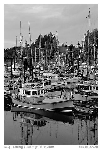 Commercial fishing fleet at dawn, Uclulet. Vancouver Island, British Columbia, Canada (black and white)