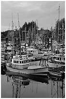 Commercial fishing fleet at dawn, Uclulet. Vancouver Island, British Columbia, Canada ( black and white)