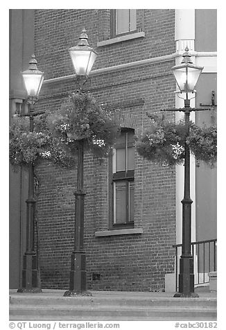 Street lamps with flower baskets and brick wall. Victoria, British Columbia, Canada (black and white)