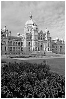 Parliament building, morning. Victoria, British Columbia, Canada (black and white)