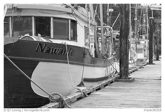 Commercial fishing boats, Uclulet. Vancouver Island, British Columbia, Canada (black and white)