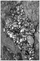 Pebbles and rock, South Beach. Pacific Rim National Park, Vancouver Island, British Columbia, Canada (black and white)