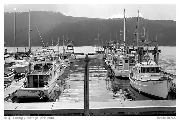 Fishing boats in harbour in Alberni Inlet, Port Alberni. Vancouver Island, British Columbia, Canada (black and white)