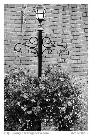 Flowers, street lamp, brick wall. Victoria, British Columbia, Canada (black and white)