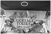 License plate of horse carriage car with flowers. Victoria, British Columbia, Canada (black and white)