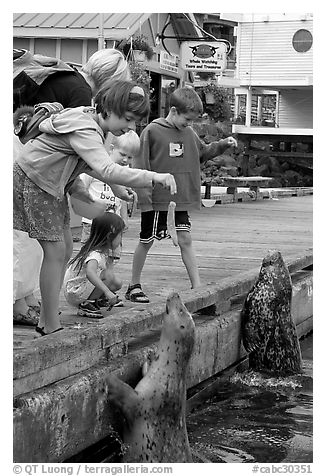 Kids feeding harbour seals, Fisherman's wharf. Victoria, British Columbia, Canada (black and white)