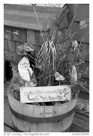 Whimsical basket with motto on houseboat. Victoria, British Columbia, Canada (black and white)