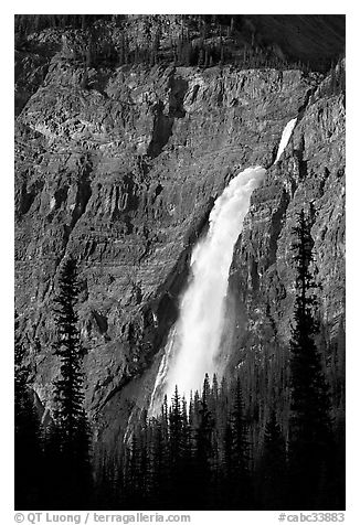 Takakkaw Falls from Yoho Valley Road, late afternoon. Yoho National Park, Canadian Rockies, British Columbia, Canada (black and white)