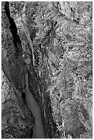 Marble Canyon 36 meter deep narrow gorge. Kootenay National Park, Canadian Rockies, British Columbia, Canada ( black and white)