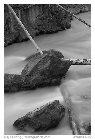 Fallen trees in silt-colored Tokkum Creek. Kootenay National Park, Canadian Rockies, British Columbia, Canada (black and white)