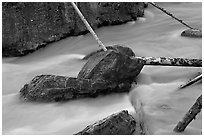 Boulders and fallen trees in silt-colored Tokkum Creek. Kootenay National Park, Canadian Rockies, British Columbia, Canada ( black and white)