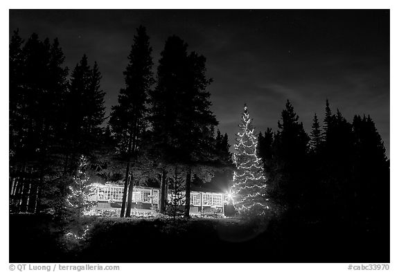 Lit Christmas trees, cabin, and forest at night. Kootenay National Park, Canadian Rockies, British Columbia, Canada (black and white)