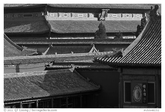 Rooftops details, Forbidden City. Beijing, China (black and white)