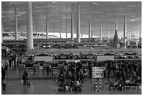 Some of the 300 check in counters, International Airport. Beijing, China (black and white)