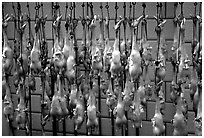 Roasted ducks for sale. Kunming, Yunnan, China ( black and white)