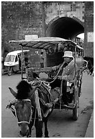 Horse carriage next to the North gate. Dali, Yunnan, China ( black and white)