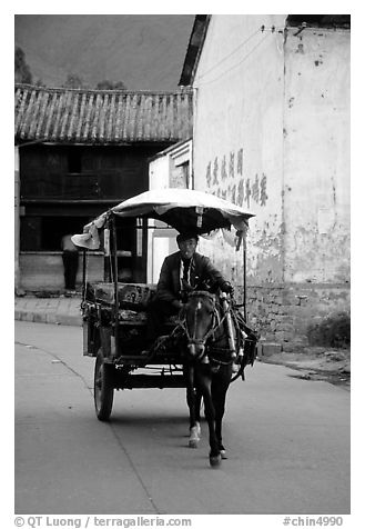 House carriage in a street. Dali, Yunnan, China (black and white)