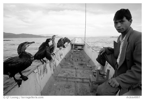 Fisherman and cormorant fishing birds. Dali, Yunnan, China (black and white)