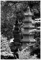Stupa in the gardens of Wuyou Si. Leshan, Sichuan, China (black and white)
