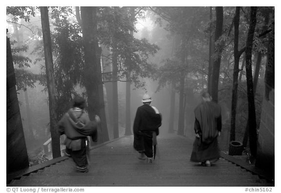 Pilgrims descend a staircase in the fog beneath Wannian Si. Emei Shan, Sichuan, China (black and white)