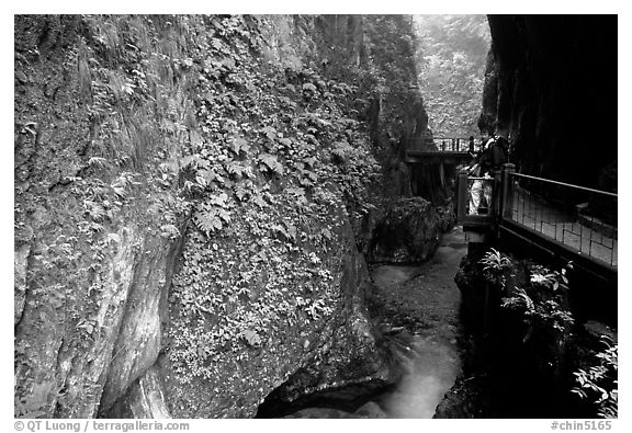 Narrow Gorge between Qingyin and Hongchunping. Emei Shan, Sichuan, China