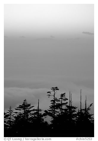 Sunset on a sea of clouds. Emei Shan, Sichuan, China (black and white)