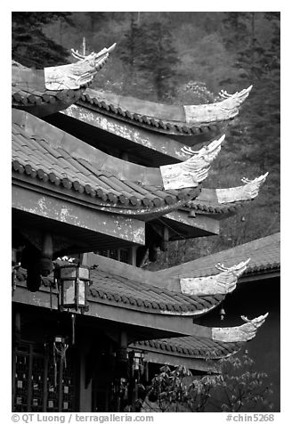 Roof detail of Jieyin Palace. Emei Shan, Sichuan, China (black and white)