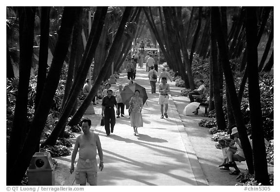 Walking to work and for exercie in a tree-lined alley of Liuha Park. Guangzhou, Guangdong, China