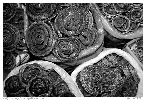 Coiled dried snakes for sale at the Qingping market. Guangzhou, Guangdong, China