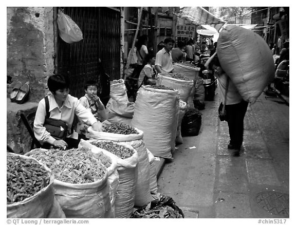 Large bags of dried food items. Guangzhou, Guangdong, China (black and white)