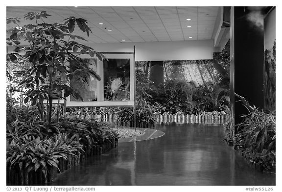 Room with plants and nature photos, Taoyuan Airport. Taiwan (black and white)