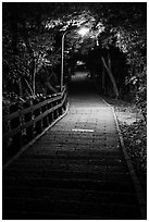 Elephant Mountain stairs at night. Taipei, Taiwan ( black and white)