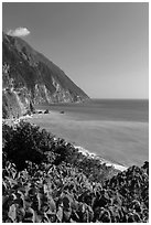 Sea cliffs and Pacific Ocean. Taroko National Park, Taiwan ( black and white)
