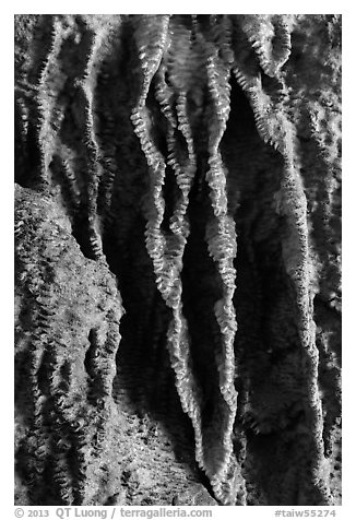 Speleotherms, Taroko Gorge. Taroko National Park, Taiwan (black and white)