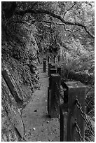 Cliffside trail, Taroko Gorge. Taroko National Park, Taiwan ( black and white)