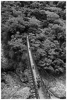 Hikers cross suspension bridge. Taroko National Park, Taiwan ( black and white)