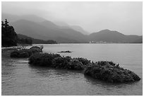Floating gardens and misty mountains. Sun Moon Lake, Taiwan ( black and white)