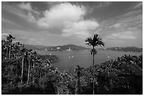Wide view of lake with palm trees. Sun Moon Lake, Taiwan (black and white)