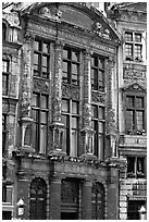 Brewers' guidhall. Brussels, Belgium ( black and white)