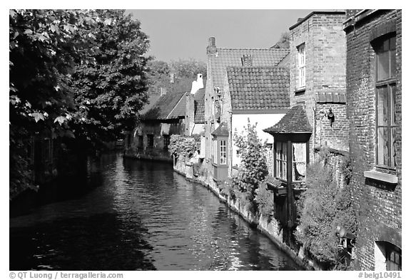 Canal lined with houses and trees. Bruges, Belgium (black and white)