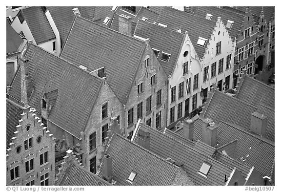 Rooftops. Bruges, Belgium