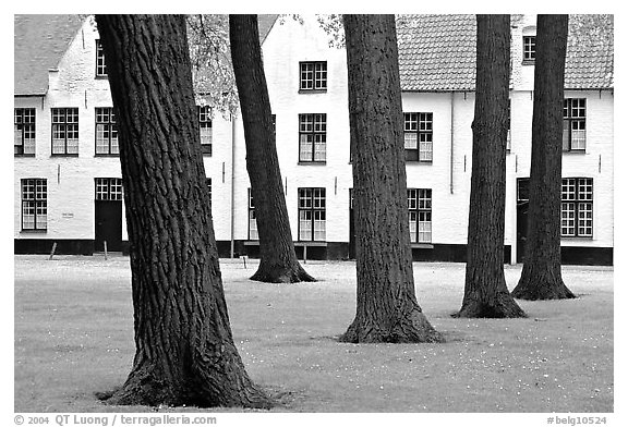 Courtyard of the Begijnhof. Bruges, Belgium (black and white)