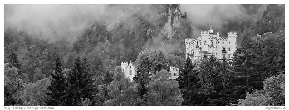 Hohenschwangau castle on forested hillside. Bavaria, Germany (black and white)