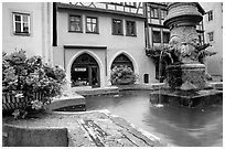 Fountain and houses. Rothenburg ob der Tauber, Bavaria, Germany ( black and white)