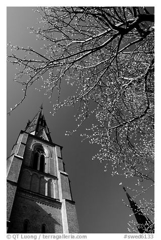 Cathedral in French gothic style, Uppsala. Uppland, Sweden (black and white)