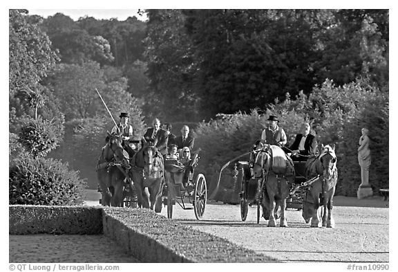 Horse carriages in the Versailles palace gardens. France (black and white)