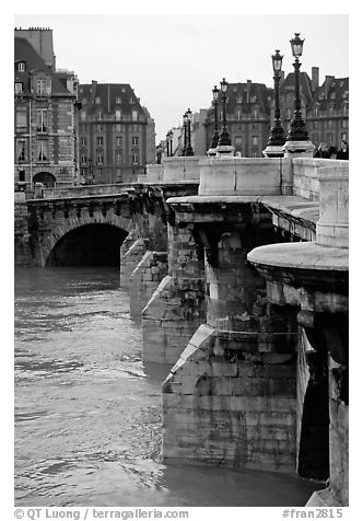 The Pont-neuf. Paris, France (black and white)